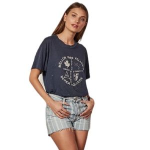 Boyish The Cody Cutoff They Made Me A Criminal Striped Jean Shorts